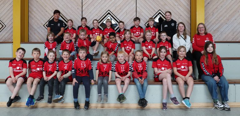 Mehr über den Artikel erfahren weibliche/männliche Minis und F-Jugend