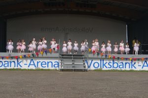 Read more about the article Kindertanzgruppe Spring- Mäuse 4-6 Jahre